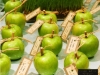 Escort card table using apples and wheat grass