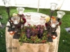 gorgeous-bridal-table-with-succulents-and-wrought-iron-300x169